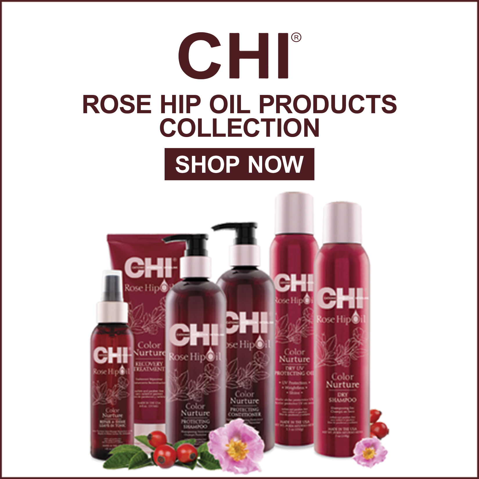 Top Discussion About Cosmetics