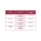 Silky Professional Bleach 50g